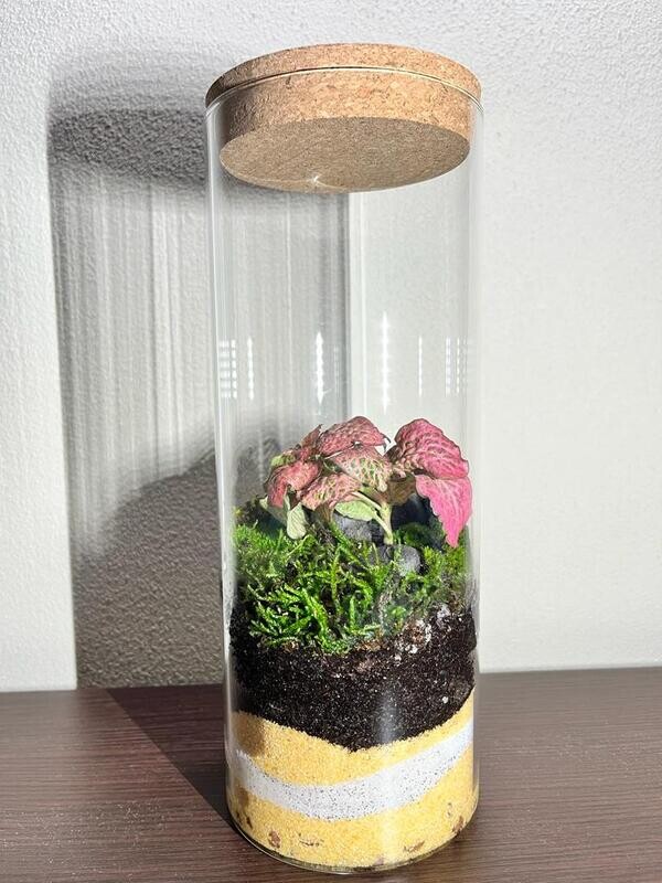 KIT TERRARIUM L