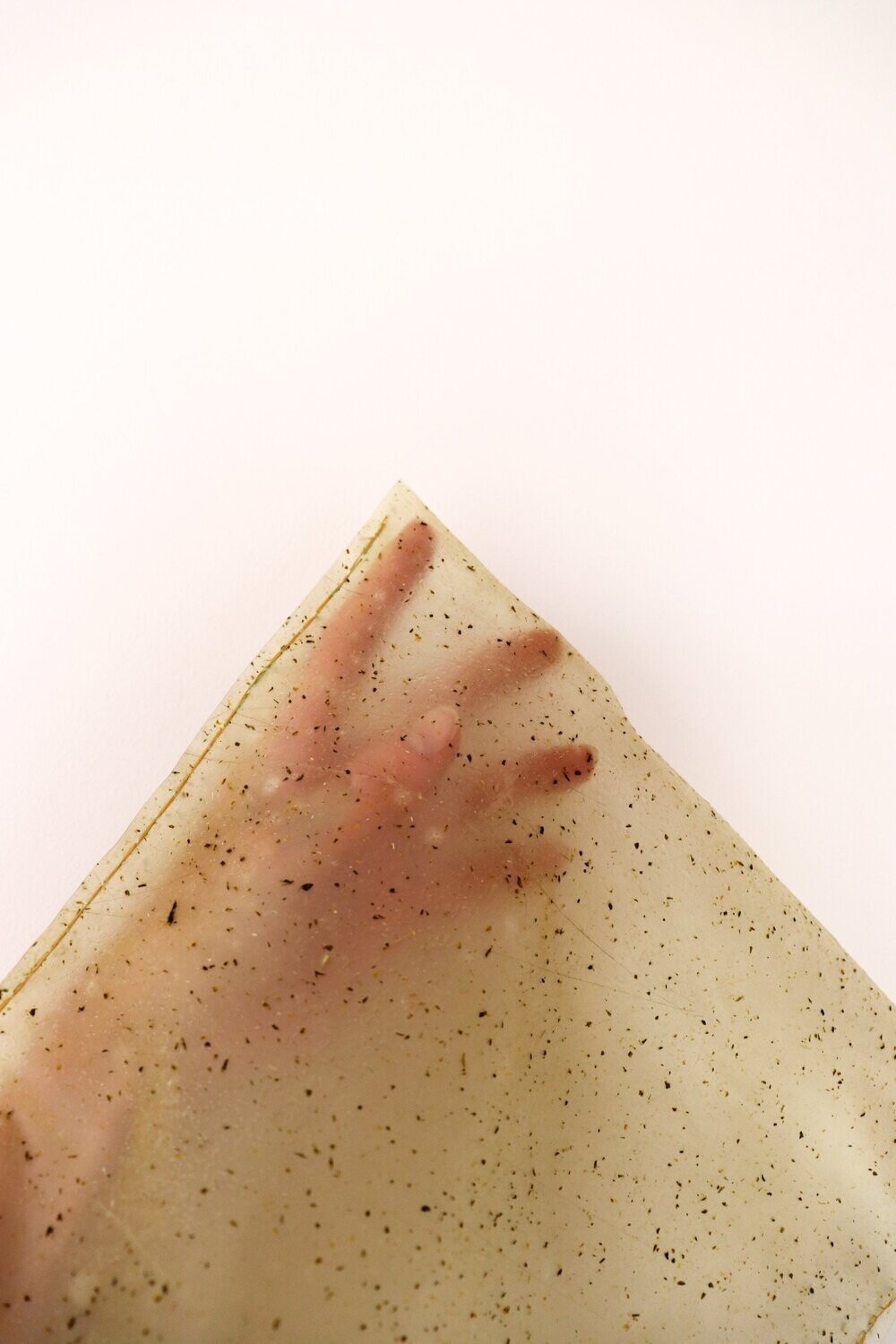 Bolsa clásica de bioplástico de naranja