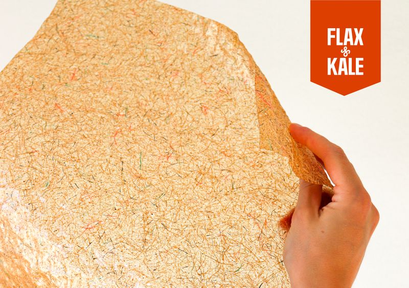 Atelier sur les biomatériaux à Barcelone