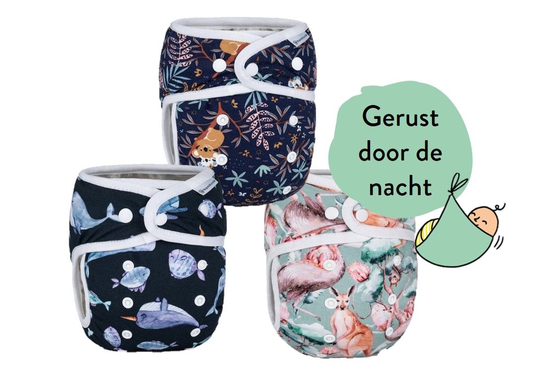 Night Diapers Package (set of 3 diapers + 3 inserts)