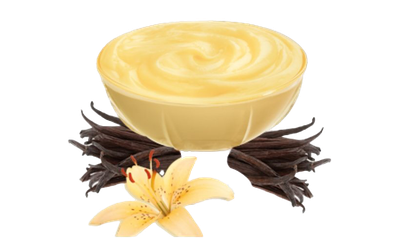 15ML Vanilla Custard 5% Salt