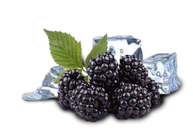 30ML BlackBerry 5% Salt