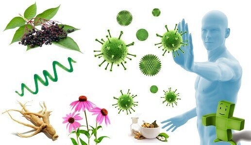 SUPPORTO IMMUNITARIO