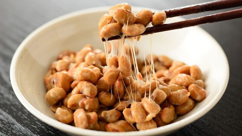 Barquette de Natto BIO