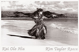 Kim Taylor Reece Hula Posters (16 Style Choices--$29.00-$79.00 each)