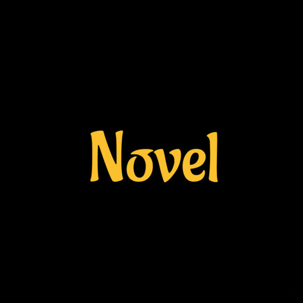 NovelDzyn
