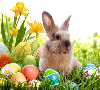 PASQUA