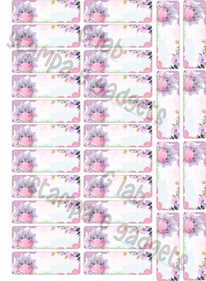 Etichette scuola 6x2cm GIRL personalizzate