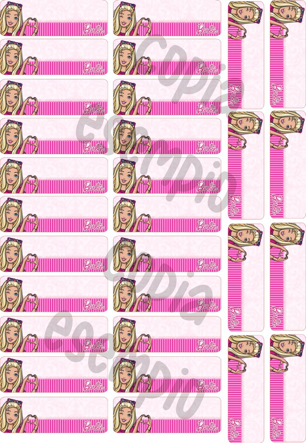 Etichette scuola 6x2cm SUPEREROI e CARTOON, GRAFICHE DISPONIBILI: Barbie 1