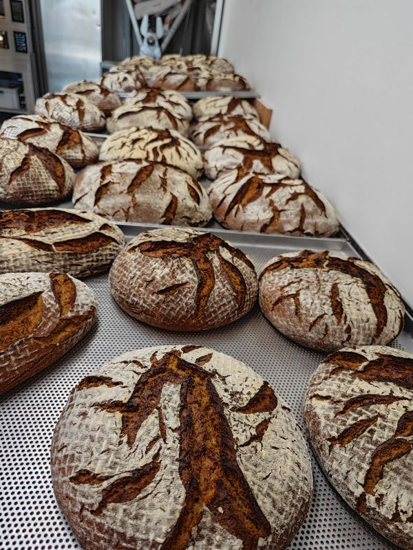 Alter Sepp am Mittwoch Alter Sepp am Mittwoch