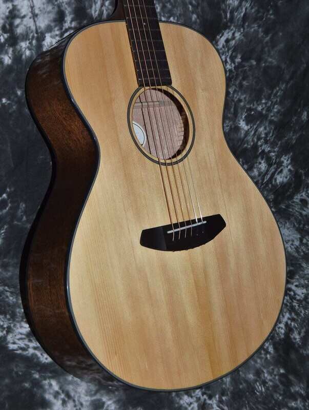 2021 Breedlove - Discovery Concert - Natural