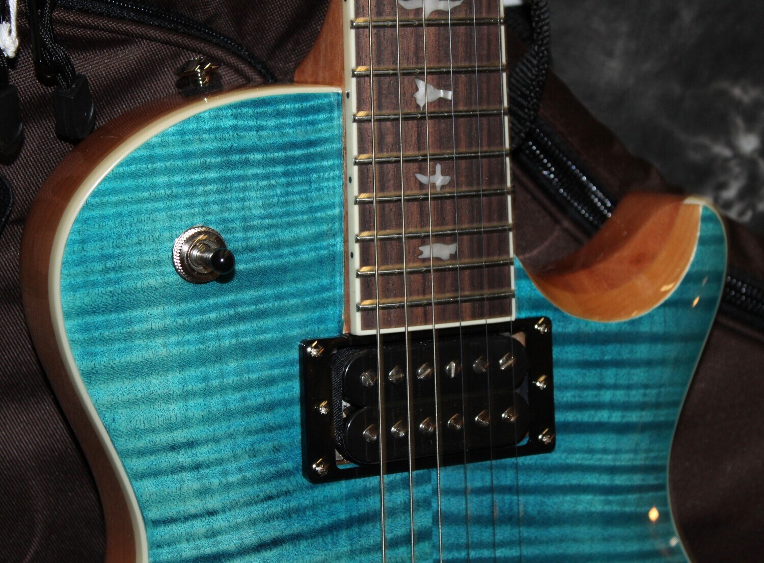 Zach Myers PRS SE ザックマイヤー　2024年モデル PRS SE Zach Myers - Kauffmann's Guitar Store