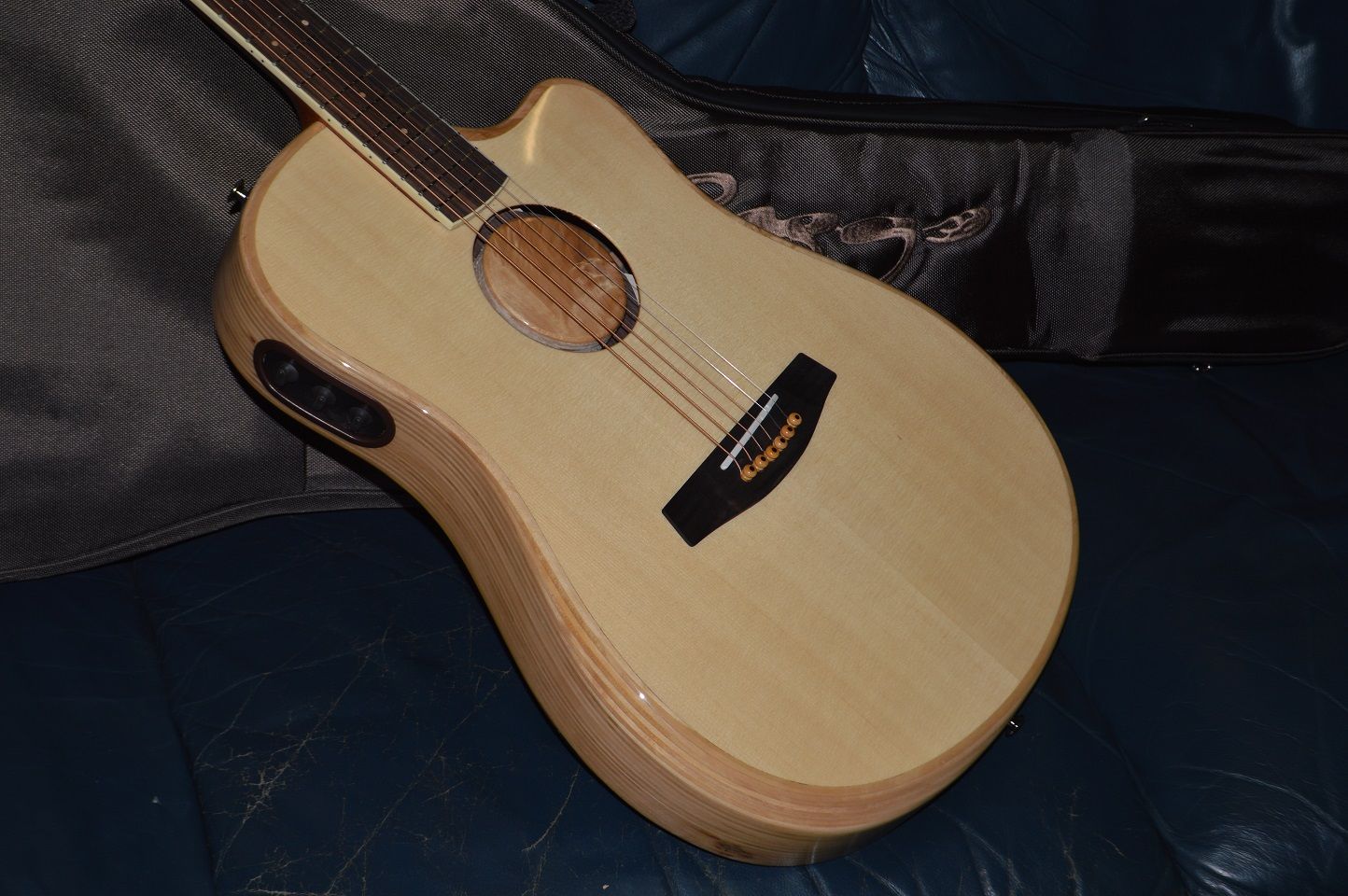 L.R. Baggs AEG-1