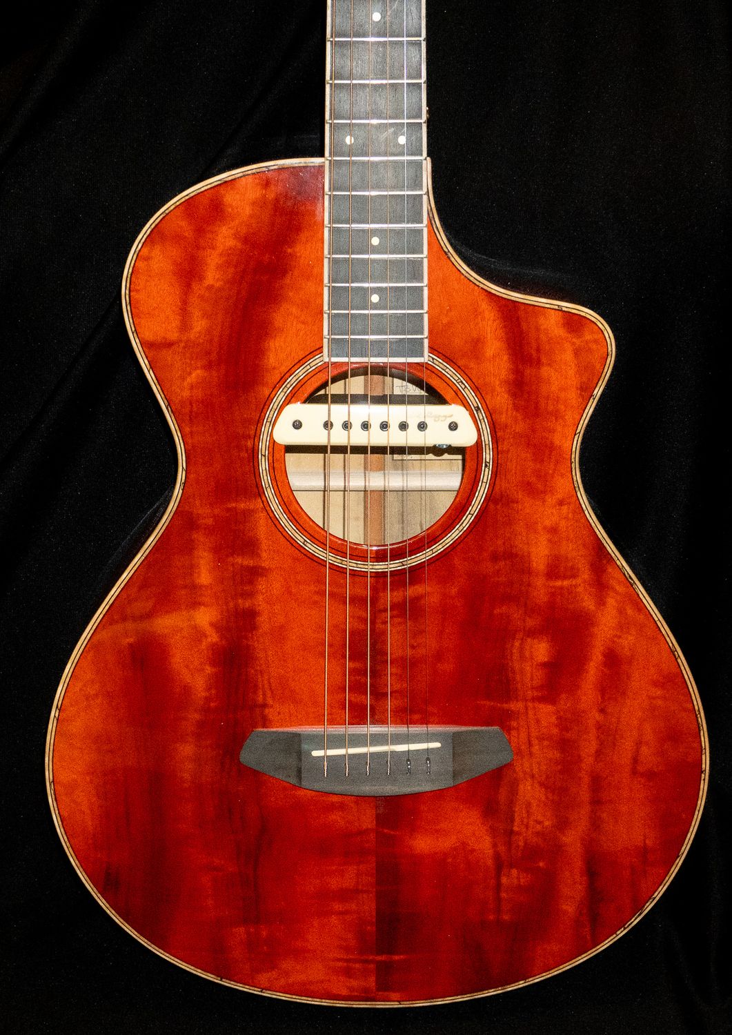 2023 Breedlove Blues Orange Concertina Signature Model | WE SHIP