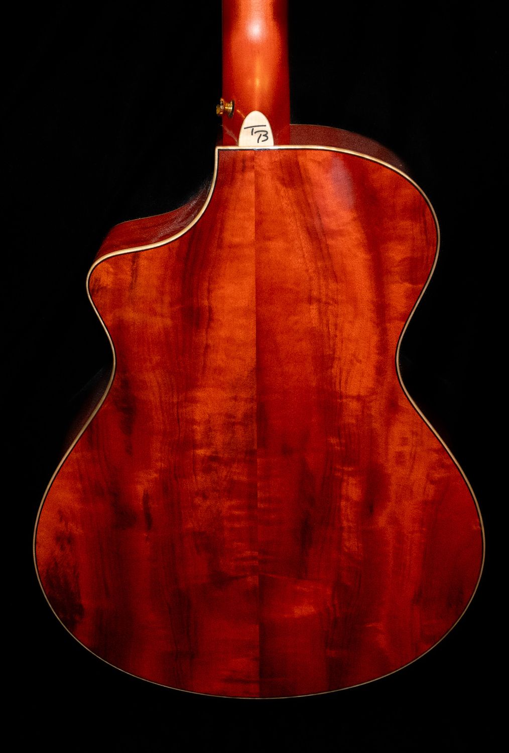 2023 Breedlove Blues Orange Concertina Signature Model | WE SHIP