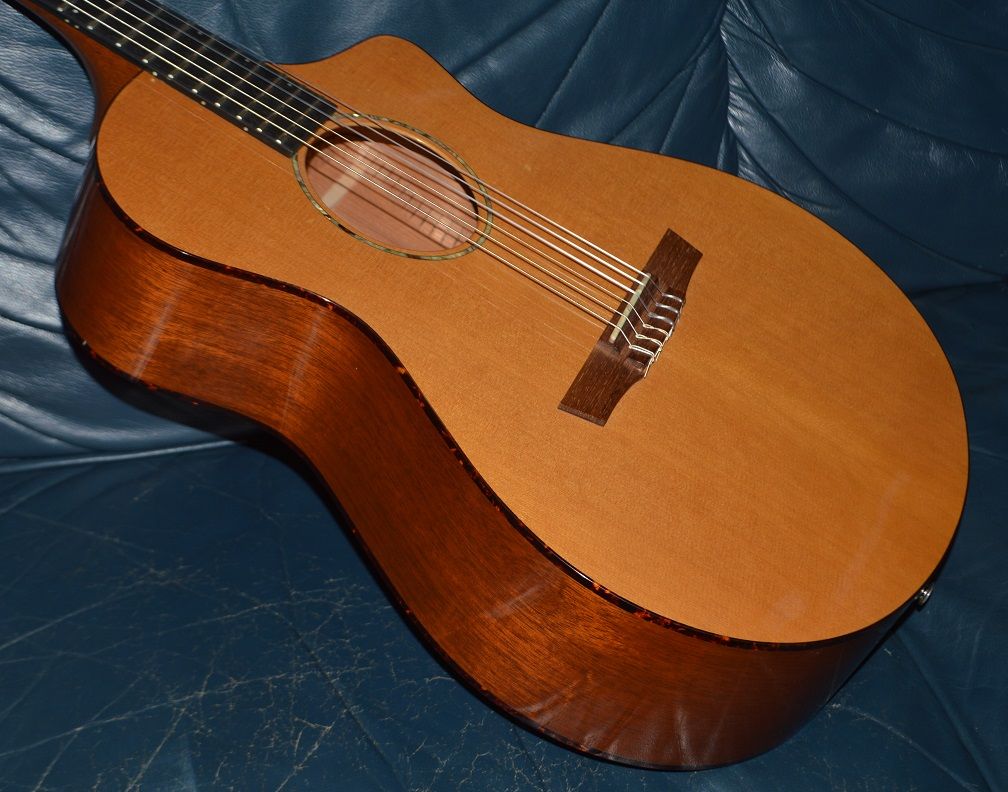 Breedlove Nylon String Crossover Cutaway Electric