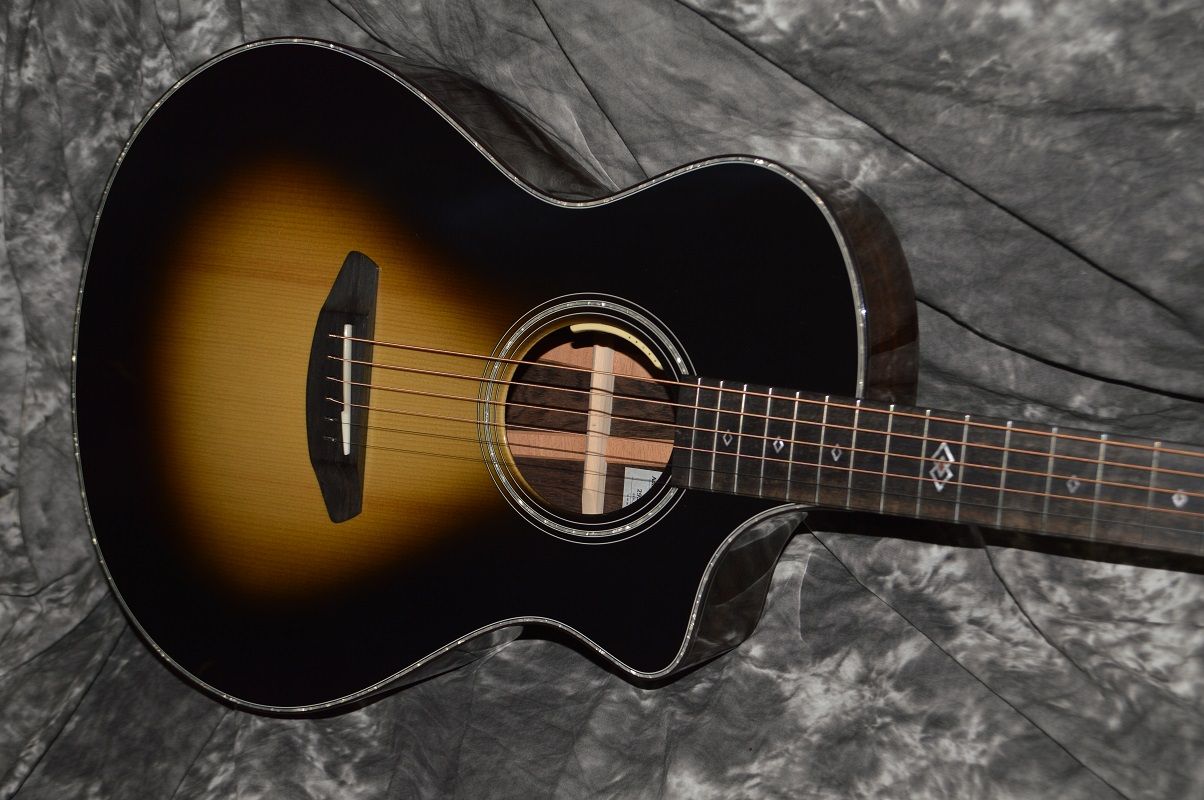 Breedlove Brazilian Rosewood Concert CE Limited