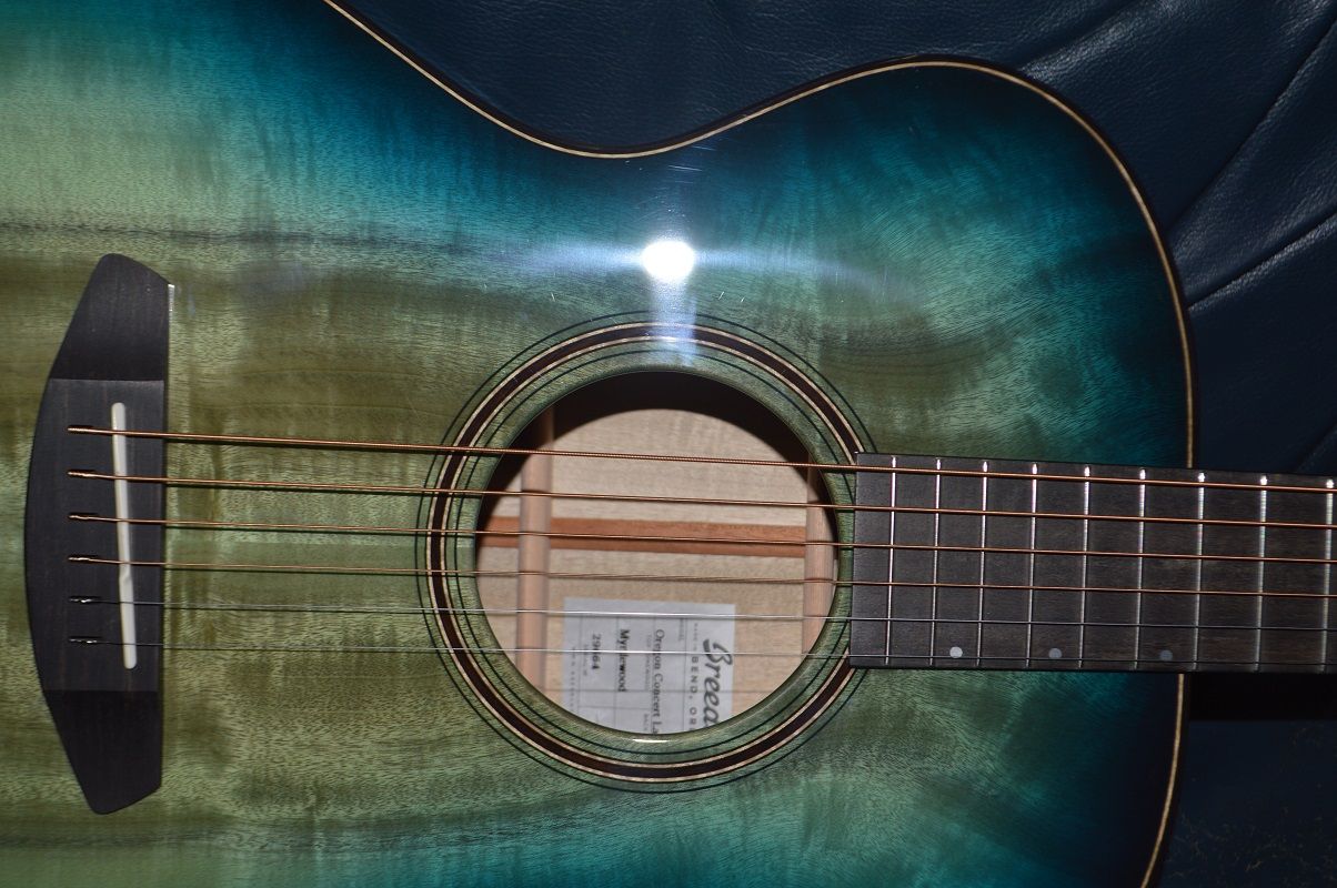 Breedlove Oregon Lagoon Limited