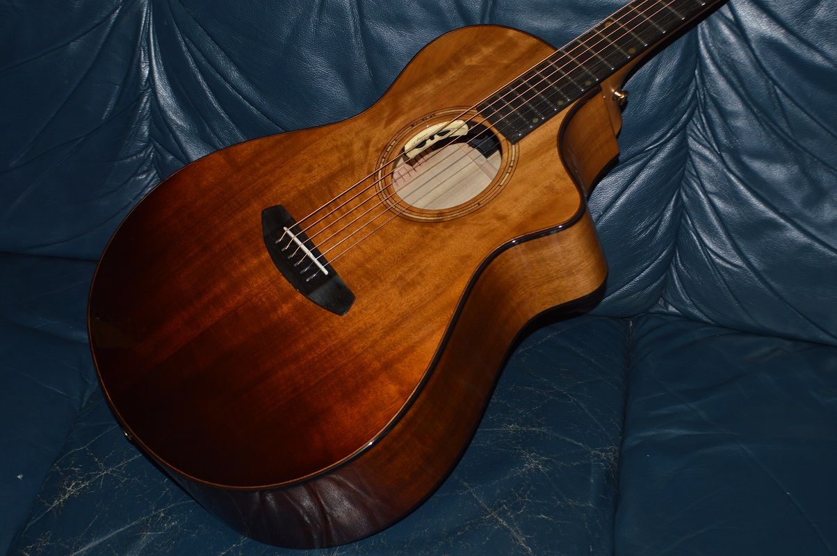 Breedlove Oregon Concert Sahara CE Limited