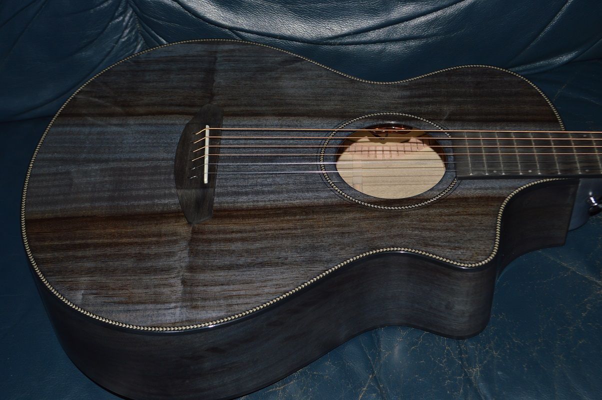 Breedlove Oregon Concertina Stormy Night CE