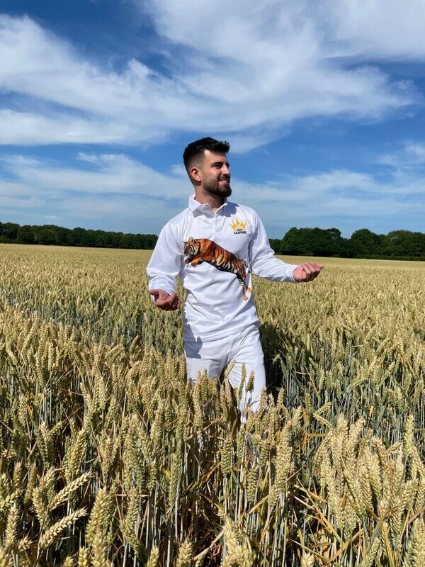 Kings New Clothes - TIGER