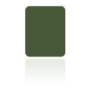 Blush Poudre Libre Mist Green