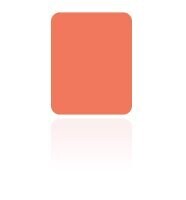 Blush Poudre Libre Rose Naturel