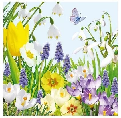 20 Stück  Blumen, Papierservietten, 3-lagig ca. 33cm,  Frühlingsblumen Schmetterlinge - Spring Time Motivservietten Ambiente