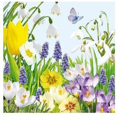 20 Stück  Blumen, Papierservietten, 3-lagig ca. 33cm,  Frühlingsblumen Schmetterlinge - Spring Time Motivservietten Ambiente