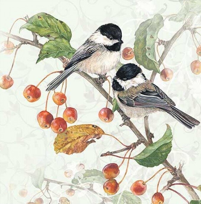 Ambiente 20 Stück Papierservietten, 3-lagig ca. 33cm , Meise - Vogel - Chickadee -  Motivservietten