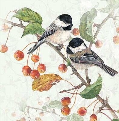 Ambiente 20 Stück Papierservietten, 3-lagig ca. 33cm , Meise - Vogel - Chickadee - Motivservietten Ambiente 20 Stück Papierservietten, 3-lagig ca. 33cm , Meise - Vogel - Chickadee - Motivservietten