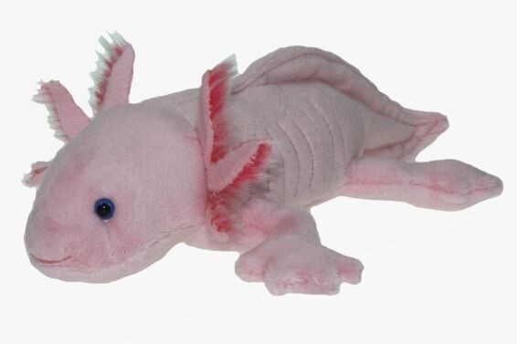 Axolotl ca. 29 cm - Plüsch  naTierliche Geschenke , Kuscheltier , Plüschtier - Stofftier -1 Stück