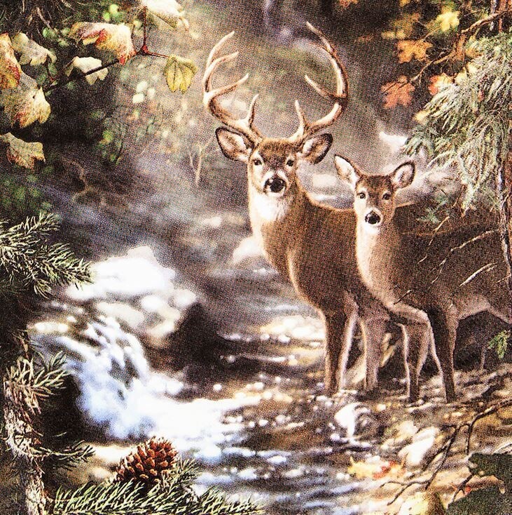 Hirsch Servietten 33 cm x 33 cm/3lagig, Hirsche an einem Bach - Deers on a Creek , Reh,  Tischdeko, Serviettentechnik, Decoupage geeignet.