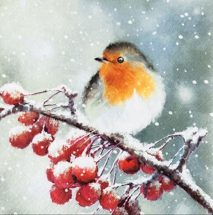 512032 Hello Robin 20 Servietten, 25 cm