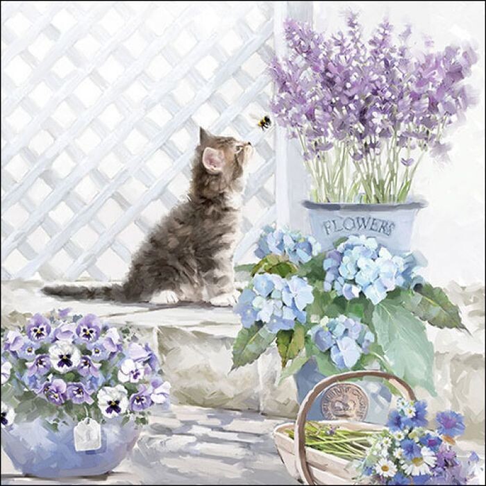 20 Servietten Katze ca, 33cm 3-lagig - Kätzchen FSC Mix - Napkin Kitten