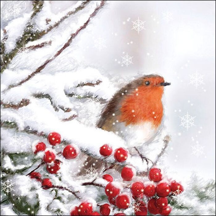 Servietten ca 33x33cm 3-lagig, Rotkehlchen im Schnee FSC Mix - Robin in snow - Party als Tischdeko - Decoupage - Serviettentechnik
