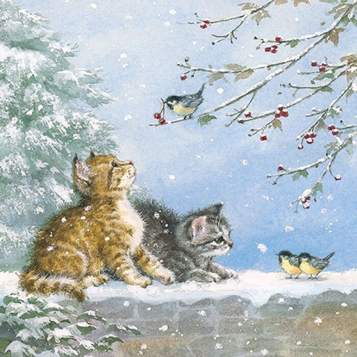 Servietten ca 33x33cm 3-lagig, Vögel beobachten - FSC Mix  - Watching birds
