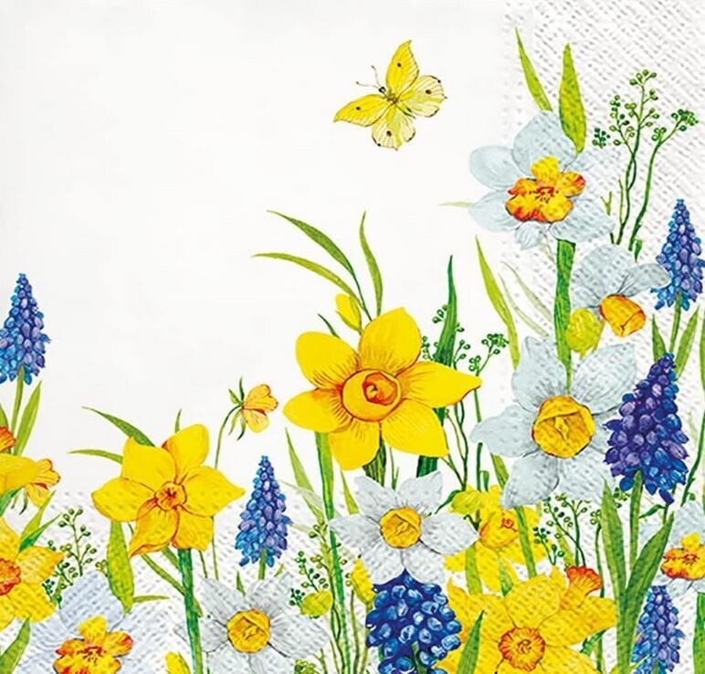 Servietten  Blumen,  Frühlingsnarzissen - Narzissen, 33x33cm 3-lagig, Spring Daffodills - Motivservietten  Osterglocken