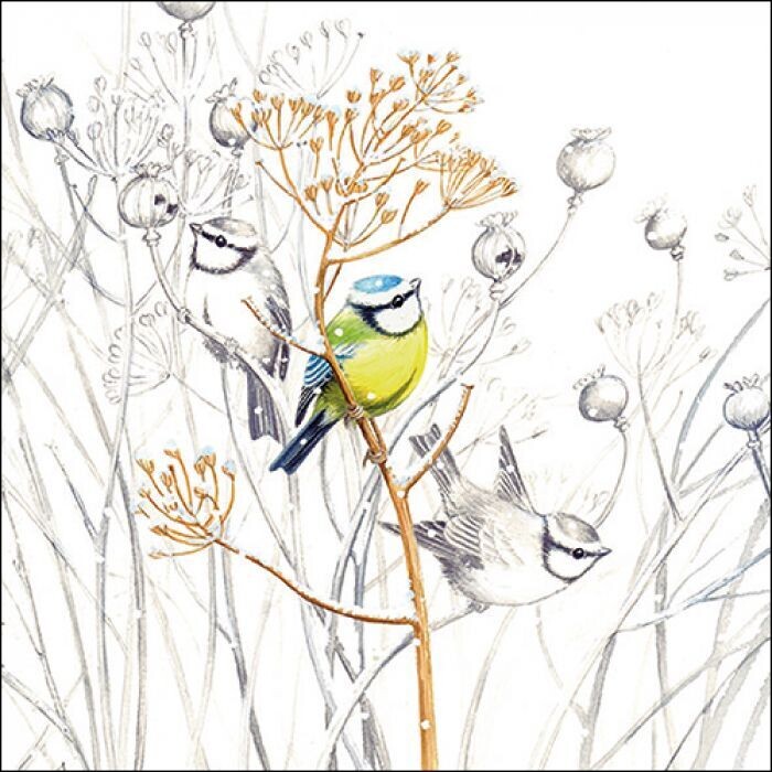 20 Stück Papierservietten Vogel , 3-lagig ca. 33cm Sweet little bird FSC Mix Napkins Motivservietten Ambiente
