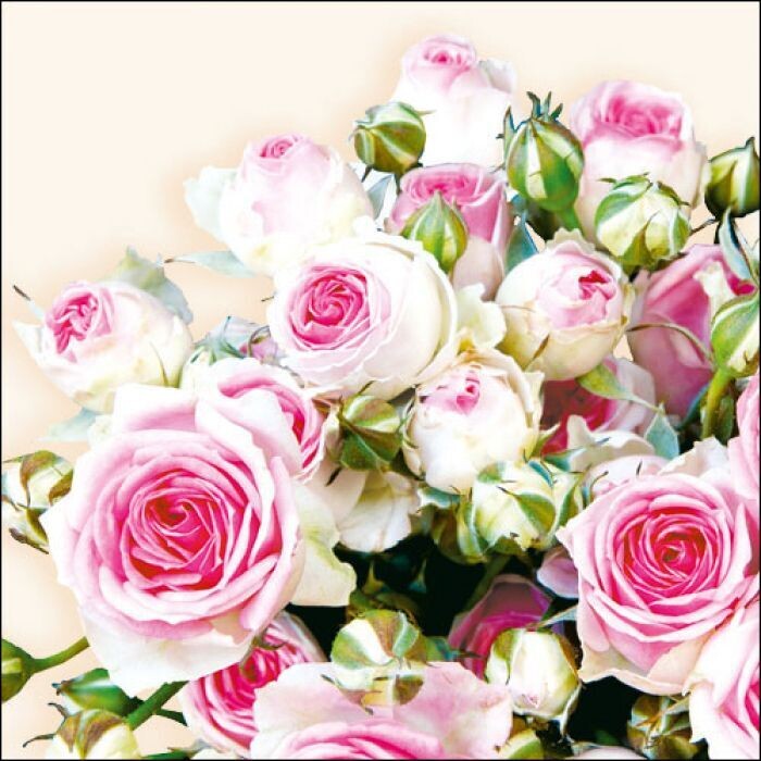 Ambiente Papierservietten , 3-lagig ca. 33cm Maxima cream  Blumen,  Servietten als Tischdeko - Decoupage  - Serviettentechnik