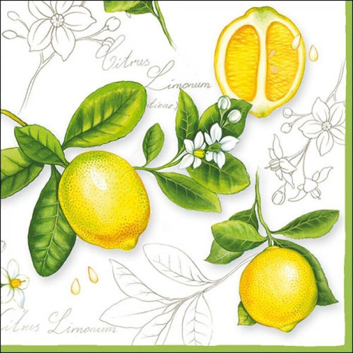 Citrus limonum FSC Mix, 20 Stück Papierservietten, 3-lagig ca. 33cm - Servietten