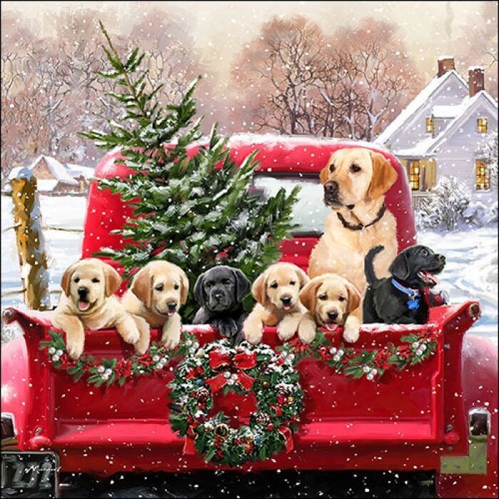 Hund Servietten Family trip / Weihnachtsservietten, 20 Stück Papierservietten, 3-lagig ca. 33cm