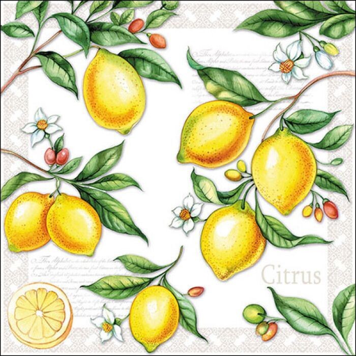 Citrus FSC Mix,  20 Stück Papierservietten, 3-lagig ca. 33cm