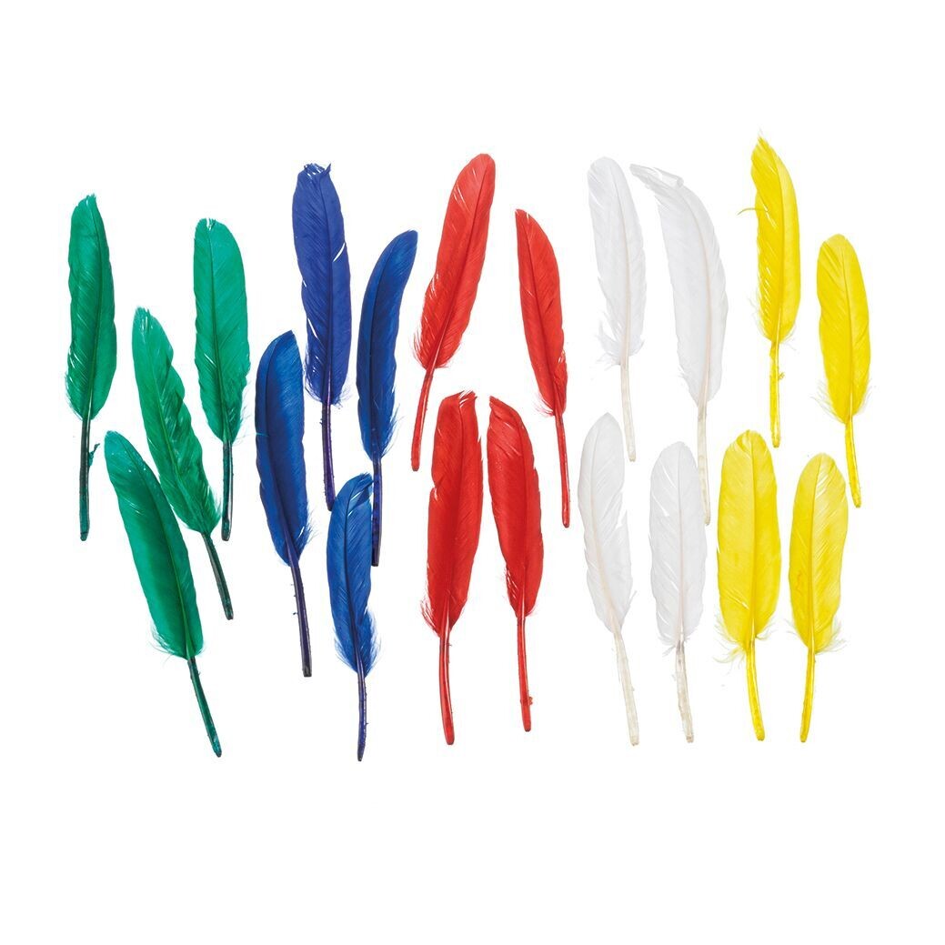 Feder, Bastelfeder ca. 12 bis 15 cm, 20 Stk., bunt sortiert - Feder als Dekoration  - Bastelartikel