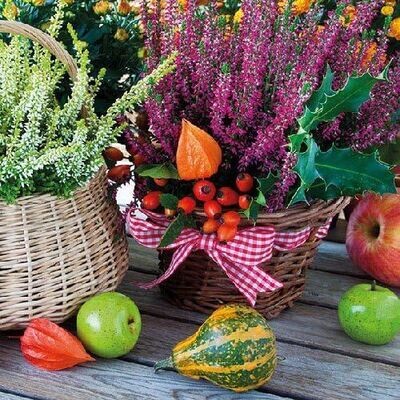 20 Servietten Lunch/Party / ca. 33x33cm Herbst - Autumn - Heather Baskets - Halloween - Ideal ALS Geschenk Tisch-Deko 20 Servietten Lunch/Party / ca. 33x33cm Herbst - Autumn - Heather Baskets - Halloween - Ideal ALS Geschenk Tisch-Deko