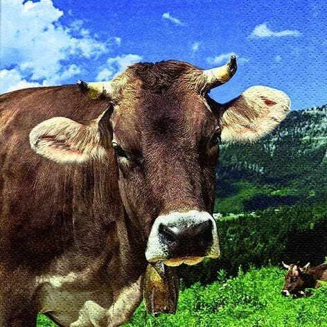 20  Servietten Lunch ca. 33x33cm Kühe, Tiere /  Cow Wally Sommer Kollektion Tischdeko