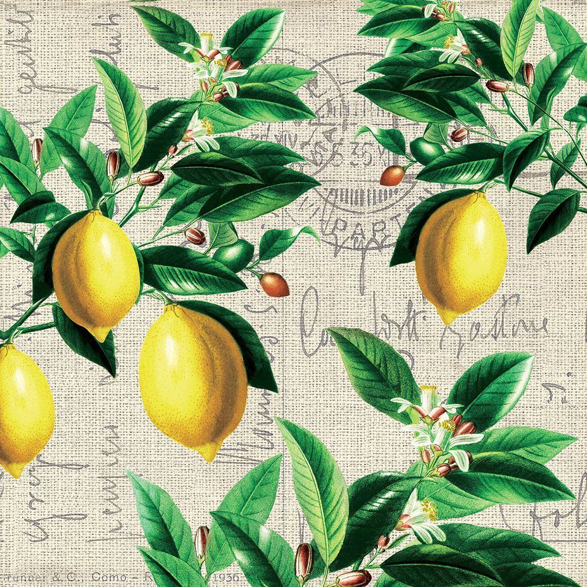 20 Servietten Zitrone am Strauch Capri Vintage,  33 x 33 cm , ppd Paper Product Design