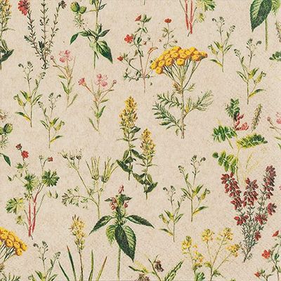 242101 Herbal Meadow 20 Servietten, 33 cm