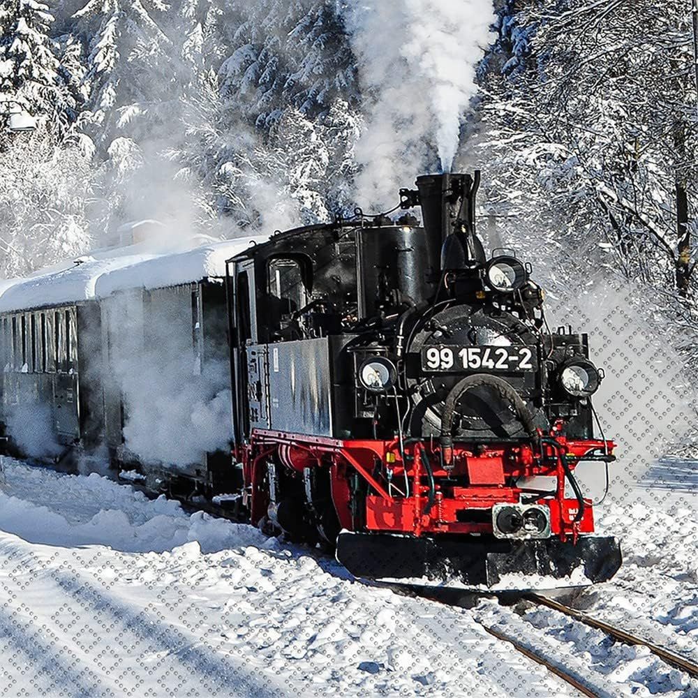 612218 Preßnitztalbahn 20 Servietten, 33 cm