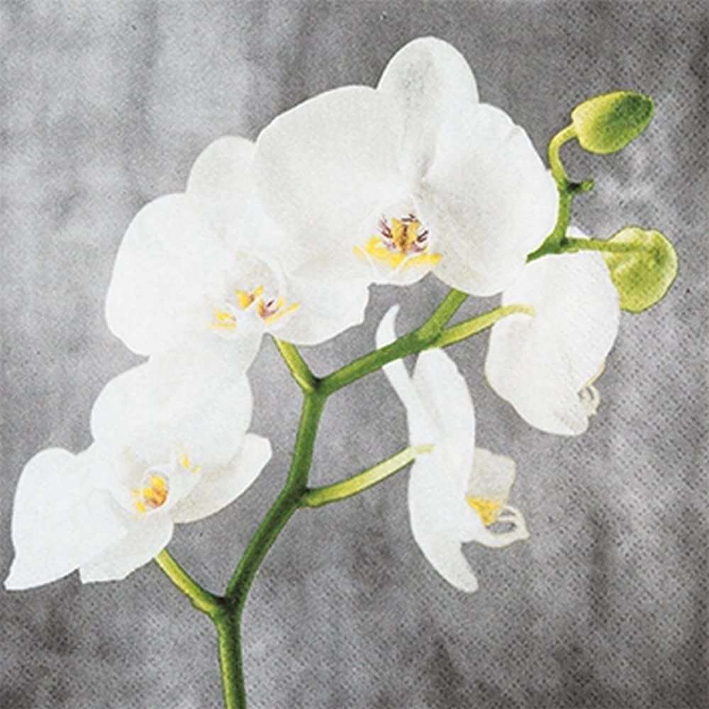 111928 White Orchid 20 Servietten, 25 cm,  Tischdeko, Serviettentechnik, Decoupage geeignet